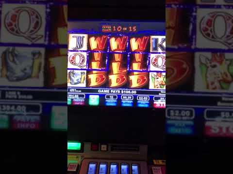 indiana live casino slot machines